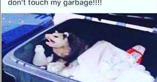 Uploaded by an imgflip user 2 years ago Females Defending The Guy That Ct1eated On Them 15 Times Don T Touch My Garbage