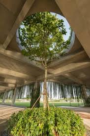 Promoting urban welfare right in the city center environment. Steven Ngu Stvngu Profile Pinterest