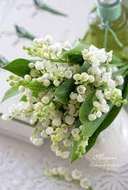 lily of the valley 美しい花 フラワーアレンジメント 小さなフラワーアレンジメント
