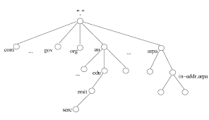 The Organisation Of The Dns Download Scientific Diagram