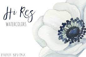 Watercolor Anemone Flowers Clipart White Wedding Flowers Etsy In 2020 Anemone Flower Anemone Floral Watercolor