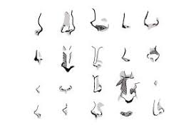 How To Draw Manga Noses - Drawingnow