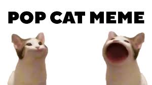 So there's a video with some images of my cat oatmeal out and here's the full clip of him chirping at a bug. Pop Cat Meme Pre Register Download Taptap