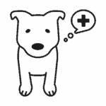 Oder du entscheidest dich für einen größeren teppich, auf den die beine des betts gestellt werden, sodass es von deinem. Hund Pinkelt In Wohnung Diese 5 Tipps Helfen Dir