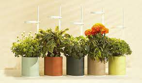 I know many flower growers throughout the country in varying climates who have great success with maximizing their growing space by utilizing planting i used the floral netting to support my flowers, my question for you is what method or process works for you when removing the netting from the. Nano Garden A Smart Garden For Growing Flowers Indoors