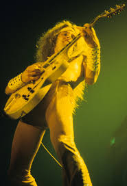 Nugent initially gained fame as the lead guitarist of the amboy dukes before embarking on a solo career. Ted Nugent Wikiwand
