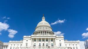 Image result for Light Chestnut 1990 US Government