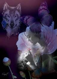 Alas Al Viento Fotos De Lobo Espiritu De Lobo Lobo Fantasia