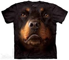Free Shipping Http Www Ebay Com Usr Americanflag911 Animal Tshirt Rottweiler Rottweiler Dog