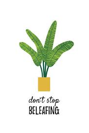 Botanical Poster With Quote Palm Tree Don T Stop Beleafing Plant Puns Botanical Poster Plants