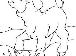  Pin Di Kumpulan Kartun