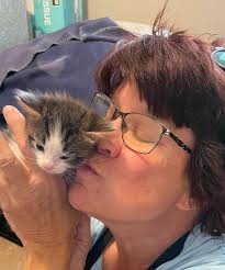 2025 POG, ed. 2 Summer