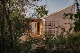 Image result for Galopina