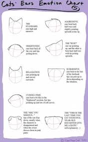 Drawing Art Cat Deviantart 70 Trendy Ideas Anime Cat Ears Furry Drawing Anime Drawings Tutorials