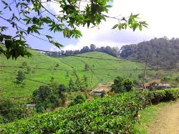 Ya datang saja main ke air terjun. Tempat Wisata Di Majalengka Kuningan