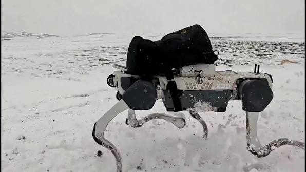 China is exploring the idea of using robot dogs to work alongside astronauts  on the Moon as part of its plans for a future lunar research station.  Chinese scientists from the China