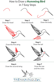 Bird Drawing For Kids Step By Step Drawing Of Hummingbirds And Flowers Google Search Hummingbird Drawing Bird Drawings Humming Bird Art