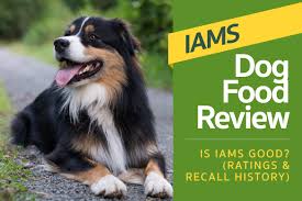 Iams Dog Food Review Is Iams Good Ratings Recall History