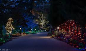 There is also a new children's garden with tree house. Lewis Ginter Botanical Garden Lights Up This Weekend Rvahub