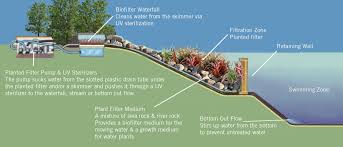 Kolam Renang Alami Unik Dan Ramah Lingkungan Rumah Dan Gaya Hidup Rumah Com