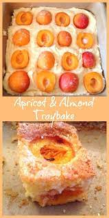 Apricot And Almond Traybake A Delicious Summery Sheet Cake With Fresh Apricots And Ground Almonds Apricot Recipes Almond Recipes Baking Recipes