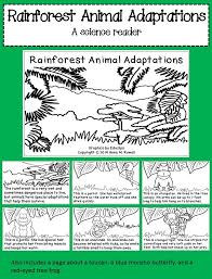 A Science Reader To Teach About Adaptations In Rainforest Animals The Last Page Is Interactive So Stude Rainforest Animals Science Readers Adaptations Science