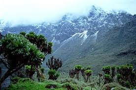 A car rental service is available at rwenzori mountain lodge, while skiing and cycling can be enjoyed nearby. Rwenzori Mountains Wikipedia