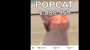 — was online 6 month. Popcat Click A Cel 2 000 000 Pop Cat Know Your Meme