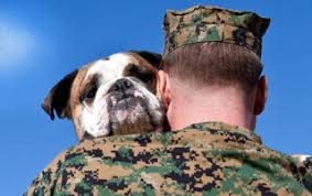 Sign up to foster today! Adoption Promotions Archives Atlanta Humane Society