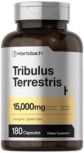Image result for Tribulus terrestris