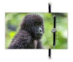 Gorilla Bracelet B O L D Vegan Haven