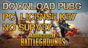 How To Get License Key For Pubg Pc 100 Working Key Without Any Survey Razorxgamer