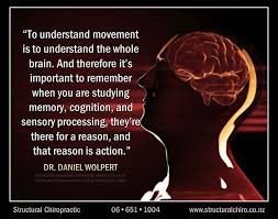 We did not find results for: Structure Determines Function Even The Function In Your Brain Is Altered When The Spine Is Not Working P Chiropractic Care Health Promotion Health And Wellness