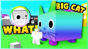 (regular updates on the giant simulator codes wiki 2021: Giant Cat Code Pet Simulator Roblox