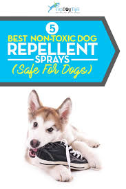 5 Best Dog Repellent Sprays To Correct Bad Behavior Dog Repellent Spray Dog Spray Puppy Safe