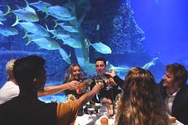 Why hire big flavours for sit down dinner party in melbourne? Private Dining Experience Sea Life Melbourne Aquarium
