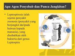 Thanks for support and watch this video. Kencing Tikus In English