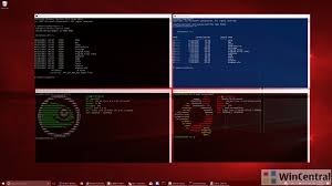 Setting wsl configuration items at bootup with wsl.conf developing on wsl with visual studio code (vs code) adding windows subsystem for linux to the windows terminal Build 2020 What Is New In Windows Subsystem For Linux Wsl Wincentral
