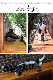 1600 x 1066 jpeg 88 кб. Our New Outdoor Cat Tunnel Cuckoo4design