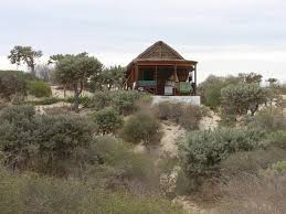 Image result for Anisotes