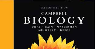 Download buku biologi campbell edisi 8 bahasa indonesia pdf. Ebook Biologi Campbell Edisi 11 Kak Bio