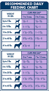 46 Particular Food Chart For Puppies