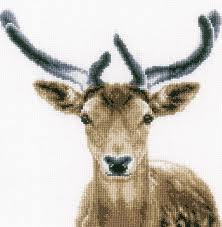 Model stitched two over two on 32 ct. Deer Counted Cross Stitch Kit Vervaco Pn 0166708 Sew Inspiring Uk