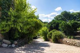 Collado de montaña varias localidades y municipios de españa: Casas Rurales En Collado De La Vera Caceres