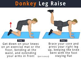 Check spelling or type a new query. What Are Donkey Leg Raises Donkey Kicks How To Do Variations