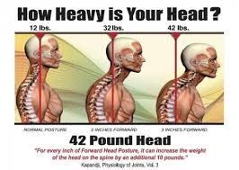 Anatomy chart courtesy of fcit. The Link Between Posture And Chronic Neck And Upper Back Pain Back Pain And Headache Specialist Burke Va Nova Headache Chiropractic Center