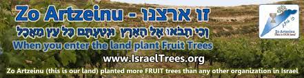 However, if you're growing a fruit tree for its fruit, and not simply as a topiary, you might want to call an arborist or gardening expert. Plant A Tree In Israel And Share In The Blessing I Will Bless Those Who Bless You Israel Genesis 12 3 The Cost Of Fruit Trees
