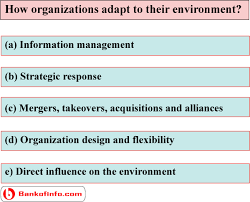 How Organization Adapt To Their Environment Environment Adaptations Organization