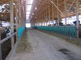A guide for sizing a compost bedded pack barn is provided in worksheet 1. Compost Bedded Pack Barns For Dairy Cows Livestock And Poultry Environmental Learning Community