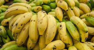 .of major banana pests and diseases (musa) (horizon 2020 framework), in which we are involved, aims at improving the sustainable protection of banana in the present article, we report the impact of fwb in different continents and the overall disease management strategies with special regard to. Banana Farmers Spot Crop Disease With Deep Learning Nvidia Blog